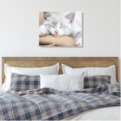 Schlafkitten Leinwanddruck (Insitu (Schlafzimmer))
