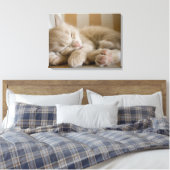 Schlafkitten Leinwanddruck (Insitu (Schlafzimmer))