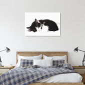 Schlafkitten Leinwanddruck (Insitu (Schlafzimmer))