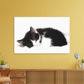 Schlafkitten Leinwanddruck (Insitu (Wohnzimmer))