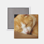 Schlafkitten Magnet (Vorderseite/Rückseite)