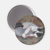 Schlafkitten Magnet (Vorderseite/Rückseite)