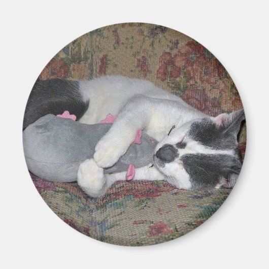 Schlafkitten Magnet (Vorne)