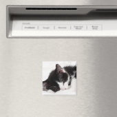 Schlafkitten Magnet (In Situ (Geschirrspüler))