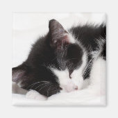 Schlafkitten Magnet (Vorne)