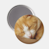 Schlafkitten Magnet (Vorderseite/Rückseite)
