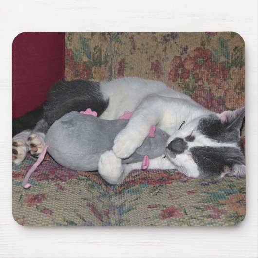 Schlafkitten Mousepad (Vorne)