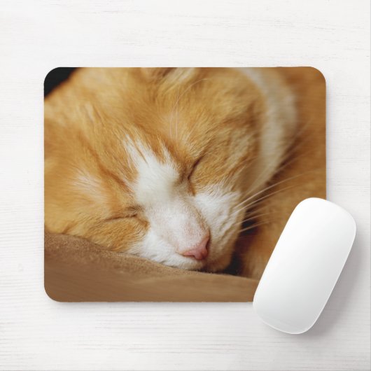 Schlafkitten Mousepad (Mit Mouse)