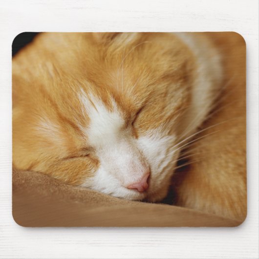 Schlafkitten Mousepad (Vorne)