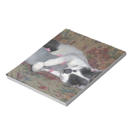 Schlafkitten Notizblock (Rotiert)