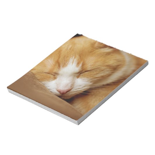 Schlafkitten Notizblock (Rotiert)