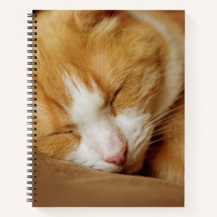 Schlafkitten Notizblock