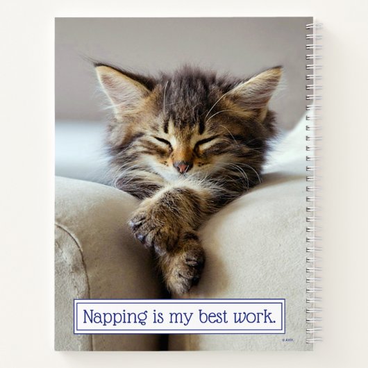 Schlafkitten Notizblock (Rückseite)