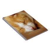 Schlafkitten Notizblock (Rechte Seite)