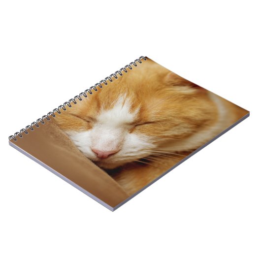 Schlafkitten Notizblock (Linke Seite)