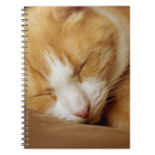 Schlafkitten Notizblock (Vorderseite)