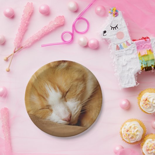Schlafkitten Pappteller (Party)