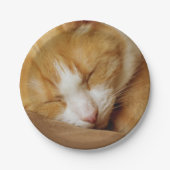 Schlafkitten Pappteller (Vorderseite)