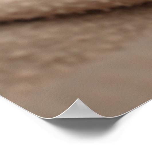 Schlafkitten Poster (Ecke)