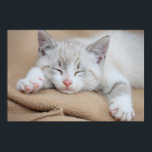 Schlafkitten Poster<br><div class="desc">Schlafkitten</div>