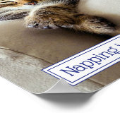 Schlafkitten Poster (Ecke)