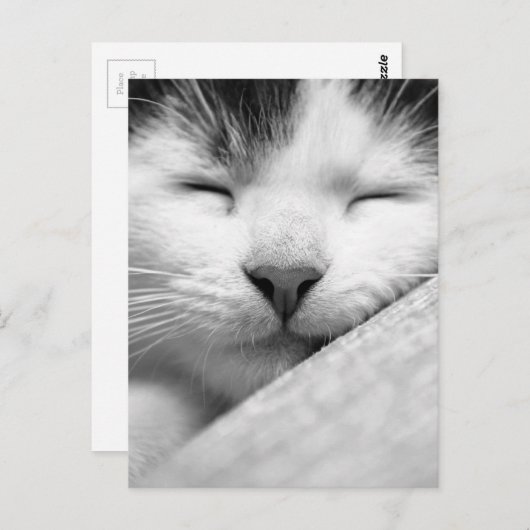 Schlafkitten Postkarte (Vorne/Hinten)