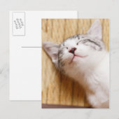 Schlafkitten Postkarte (Vorne/Hinten)