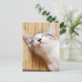 Schlafkitten Postkarte (Stehend Vorderseite)