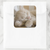 Schlafkitten Quadratischer Aufkleber (Tasche)