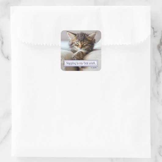 Schlafkitten Quadratischer Aufkleber (Tasche)