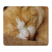 Schlafkitten Schneidebrett (Vorderseite)