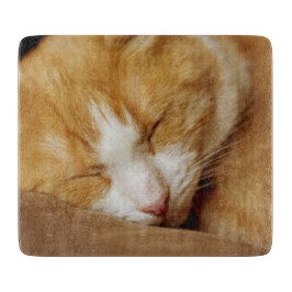 Schlafkitten Schneidebrett