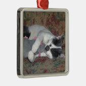 Schlafkitten Silbernes Ornament (Rechts)