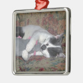 Schlafkitten Silbernes Ornament (Links)