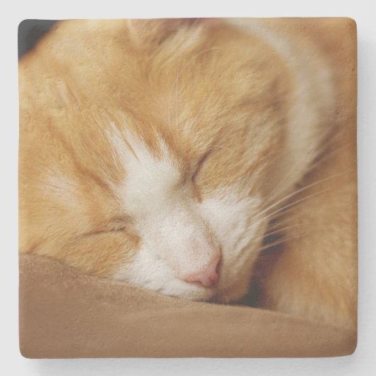 Schlafkitten Steinuntersetzer (Vorderseite)