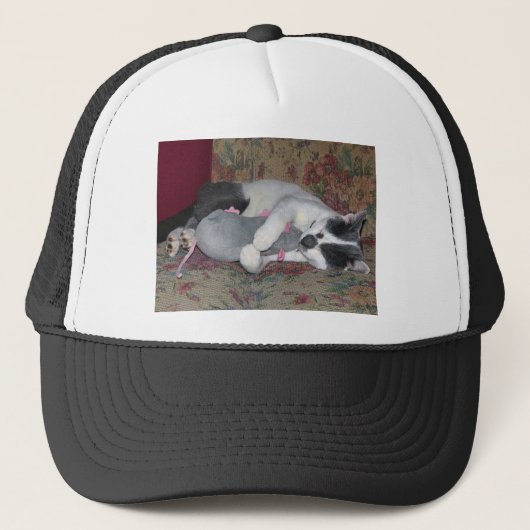 Schlafkitten Truckerkappe (Vorderseite)