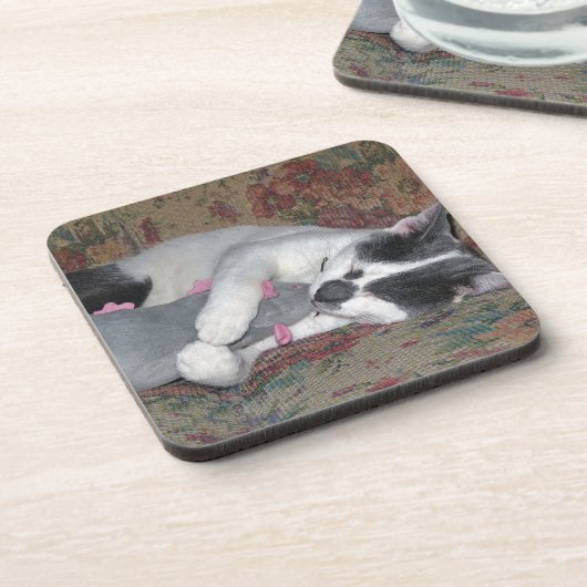 Schlafkitten Untersetzer (Linke Seite)
