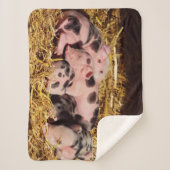 SCHLAFKLEINE PIGLETTEN SHERPADECKE (Vorderseite)