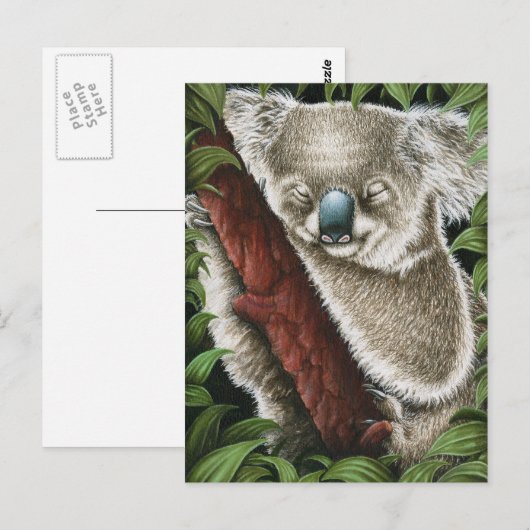 Schlafkoala Postcard Postkarte (Vorne/Hinten)