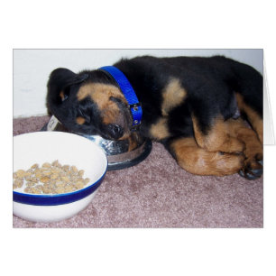 Schlafkopfrottweiler.