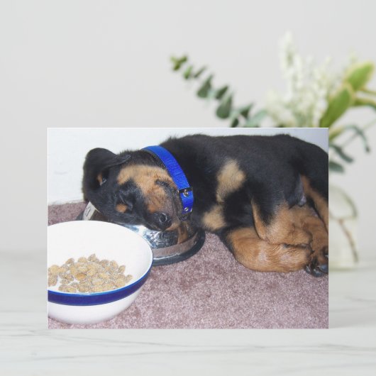 Schlafkopfrottweiler Einladung (Stehend Vorderseite)