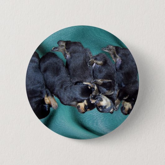 Schlafkopfwelpen Button (Vorderseite)