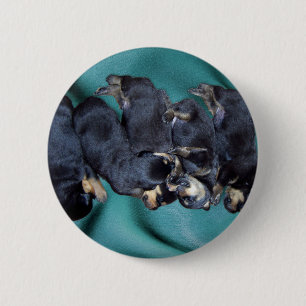 Schlafkopfwelpen Button