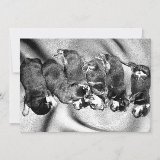 Schlafkopfwelpen Einladung (Vorderseite)