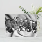 Schlafkopfwelpen Einladung (Stehend Vorderseite)