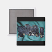 Schlafkopfwelpen Magnet (Vorderseite/Rückseite)