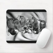 Schlafkopfwelpen Mousepad (Mit Mouse)