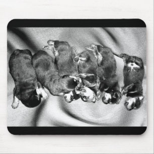 Schlafkopfwelpen Mousepad