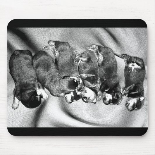 Schlafkopfwelpen Mousepad (Vorne)
