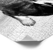 Schlafkopfwelpen Poster (Ecke)